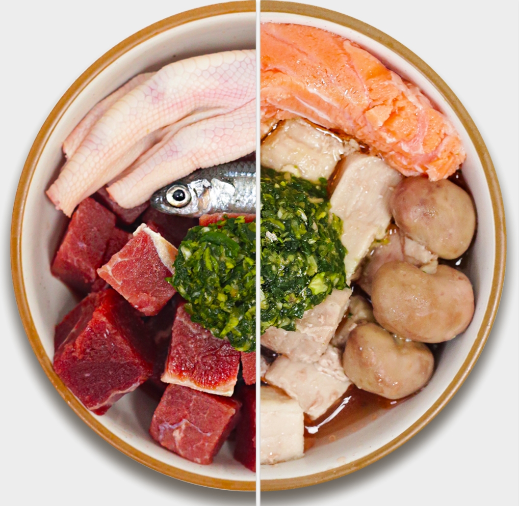 Portfolio carousel image